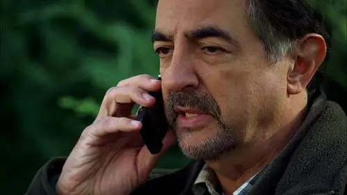 Mentes criminales Temporada 3 Cap 6 • Español Online