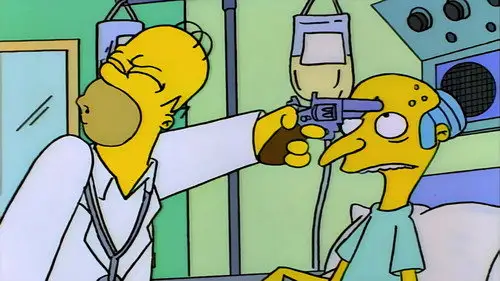 Los Simpson Temporada 7 Episodios 1 • Sub Español