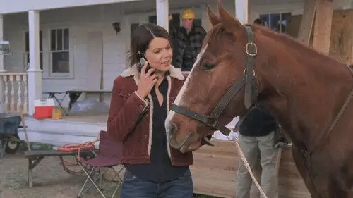 Las chicas Gilmore Temporada 4 Episodios 14 • Sub Español