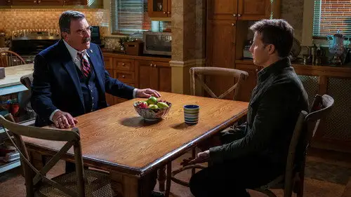 Familia de policías Temporada 12 Episodios 17 • Sub Español