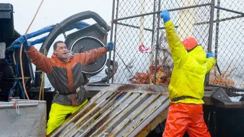 Pesca radical Temporada 19 Episodios 12 • Sub Español
