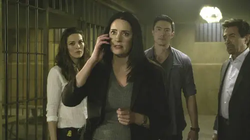 Mentes criminales Temporada 12 Episodios 13 • Sub Español