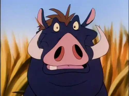 Timón y Pumba Temporada 4 Episodios 14 • Sub Español