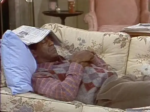 El show de Bill Cosby Temporada 1 Episodios 4 • Sub Español