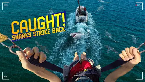 Shark Week S38E14 • Oglądaj Online
