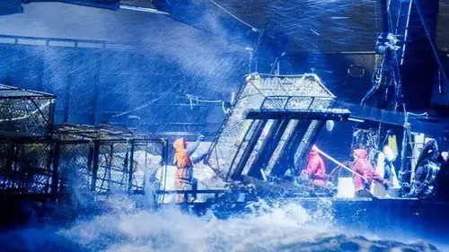 Pesca radical Temporada 17 Episodios 11 • Sub Español