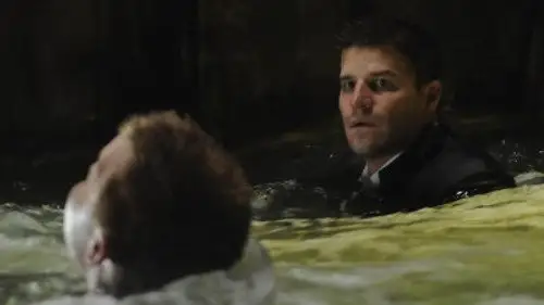 Bones Temporada 4 Episodios 14 • Sub Español