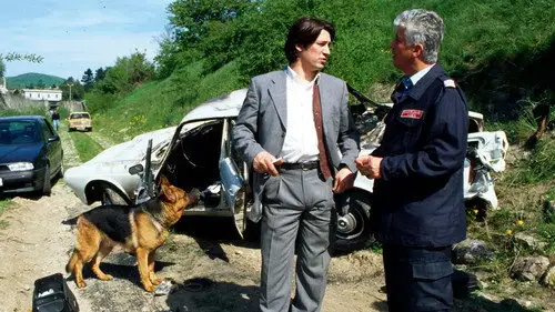 Rex, un policía diferente Temporada 2 Episodios 14 • Sub Español