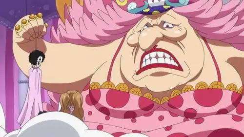 One Piece Temporada 19 Episodios 822 • Sub Español