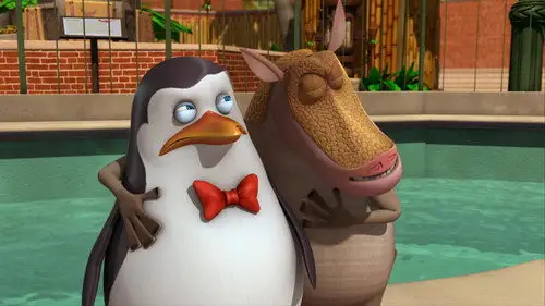 Los pingüinos de Madagascar Temporada 2 Episodios 10 • Sub Español