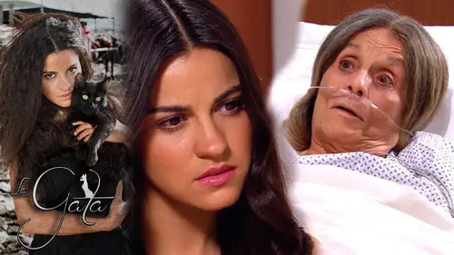 La Gata Temporada 1 Episodios 20 • Sub Español