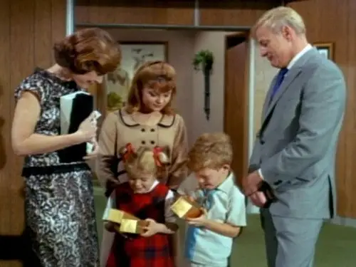 Family Affair Temporada 2 Episodios 11 • Sub Español