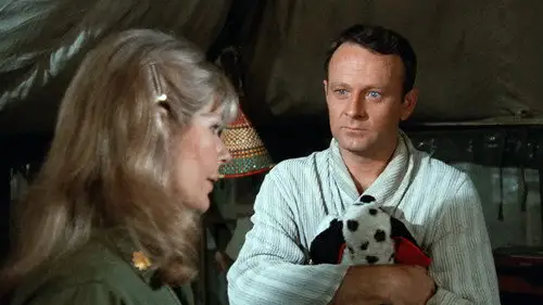 M*A*S*H Temporada 2 Episodios 14 • Sub Español