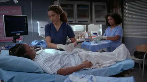 Anatomía de Grey Temporada 19 Cap 15 • Español Online