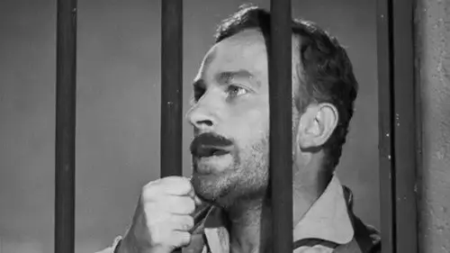 Randall, el justiciero Temporada 1 Episodios 13 • Sub Español