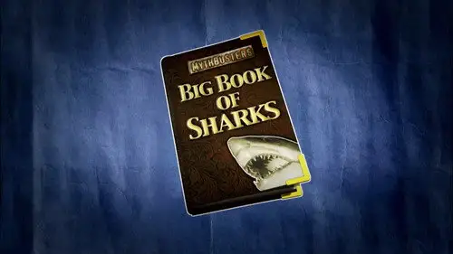 Shark Week S21E1 • Oglądaj Online