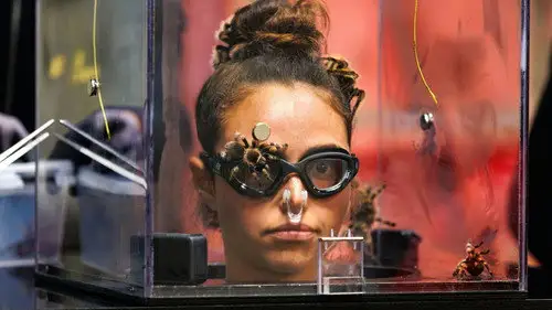 Fear Factor Danmark Temporada 1 Episodios 4 • Sub Español