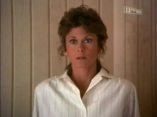 Scarecrow and Mrs. King Temporada 4 Episodios 6 • Sub Español