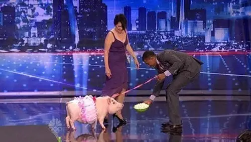 America's Got Talent Temporada 7 Episodios 10 • Sub Español