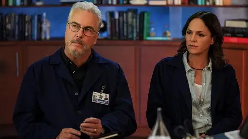 CSI: Vegas Temporada 1 Episodios 6 • Sub Español