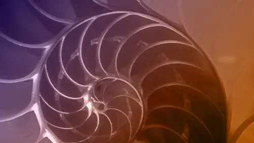 NOVA Temporada 42 Cap 17 • Español Online