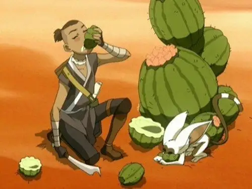 Avatar: La leyenda de Aang 2005 Temporada 2 Episodios 11 • Sub Español