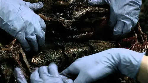 Falling Skies Temporada 1 Episodios 8 • Sub Español