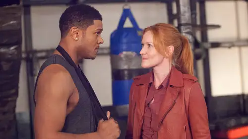 Ray Donovan Temporada 1 Episodios 2 • Sub Español