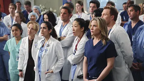 Anatomía de Grey Temporada 6 Cap 13 • Español Online