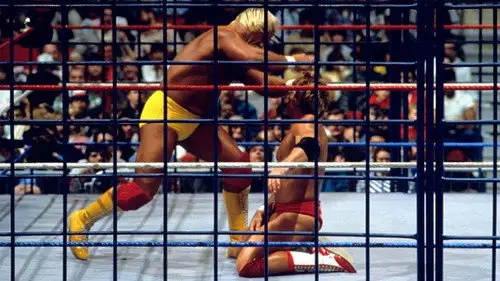 WWE Saturday Night's Main Event Temporada 1 Episodios 9 • Sub Español