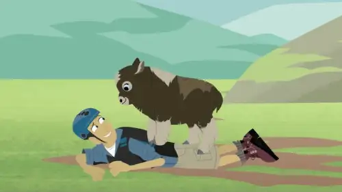 Los Hermanos Kratt Temporada 4 Episodios 22 • Sub Español