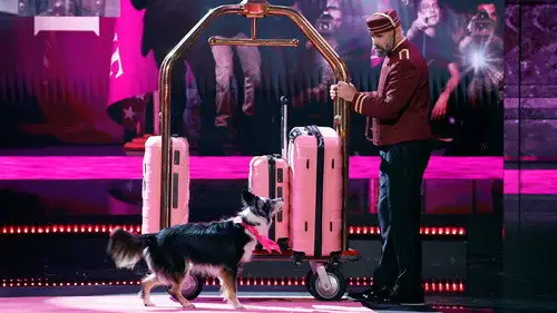 America's Got Talent Temporada 19 Episodios 10 • Sub Español