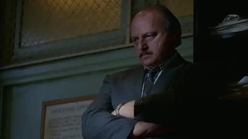 NYPD Blue Temporada 3 Cap 2 • Español Online