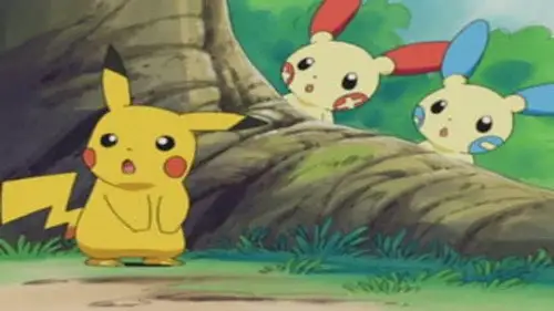 Pokémon Temporada 7 Episodios 12 • Sub Español