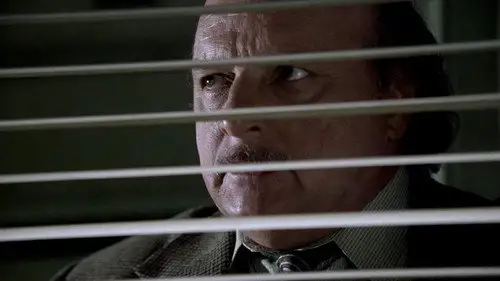 NYPD Blue Temporada 9 Cap 2 • Español Online