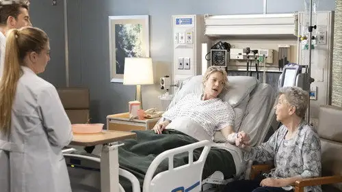 Anatomía de Grey Temporada 18 Episodios 19 • Sub Español