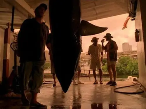 CSI: Miami Temporada 1 Episodios 3 • Sub Español