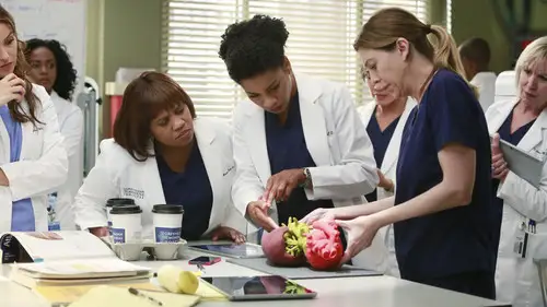 Anatomía de Grey Temporada 11 Episodios 10 • Sub Español