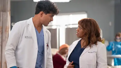 Anatomía de Grey Temporada 22 Episodios 7 • Sub Español