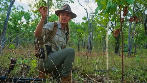Australijscy poszukiwacze złota S11E5 • Oglądaj Online