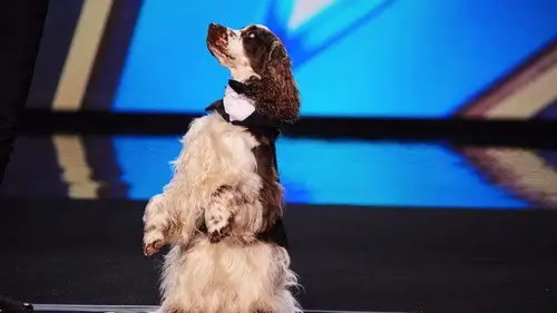 Britain's Got Talent Temporada 16 Episodios 4 • Sub Español