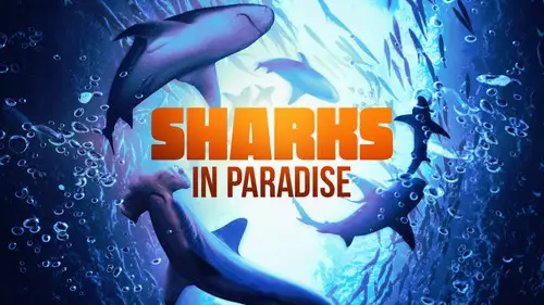 Shark Week S35E20 • Oglądaj Online