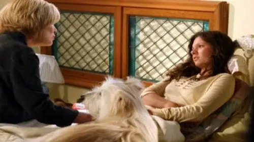7 en el paraiso Temporada 10 Episodios 8 • Sub Español