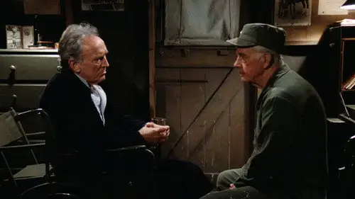 M*A*S*H Temporada 11 Episodios 13 • Sub Español