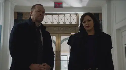 Familia de policías Temporada 11 Episodios 10 • Sub Español