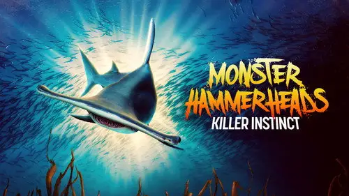 Shark Week S36E10 • Oglądaj Online