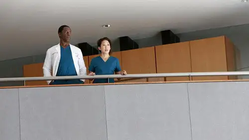 Anatomía de Grey Temporada 10 Episodios 22 • Sub Español