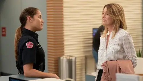 Anatomía de Grey Temporada 15 Cap 4 • Español Online