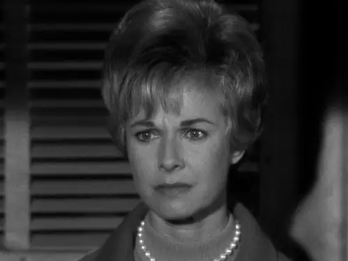 Perry Mason Temporada 9 Episodios 8 • Sub Español
