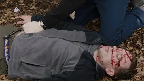 Navy: Investigación criminal Temporada 20 Episodios 15 • Sub Español